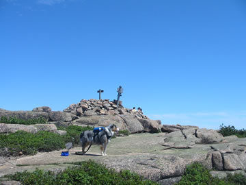 Stoney on Sargent Mountain
